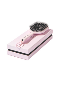 LION HAIR BRUSH