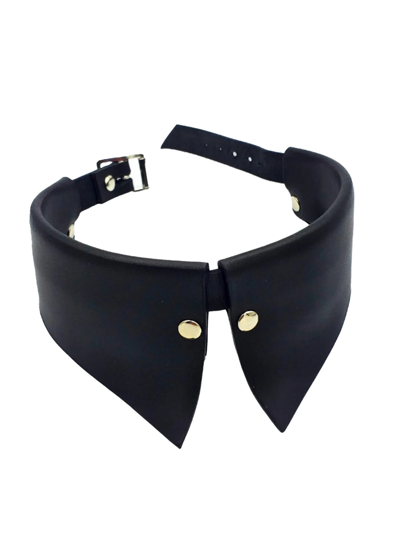 A leather collar choker